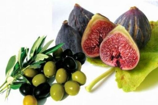 Olive Trees – Fig Trees – English Menu